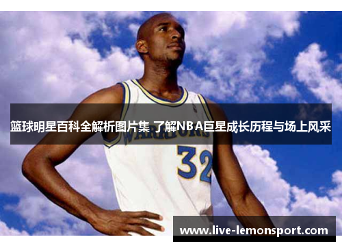 篮球明星百科全解析图片集 了解NBA巨星成长历程与场上风采